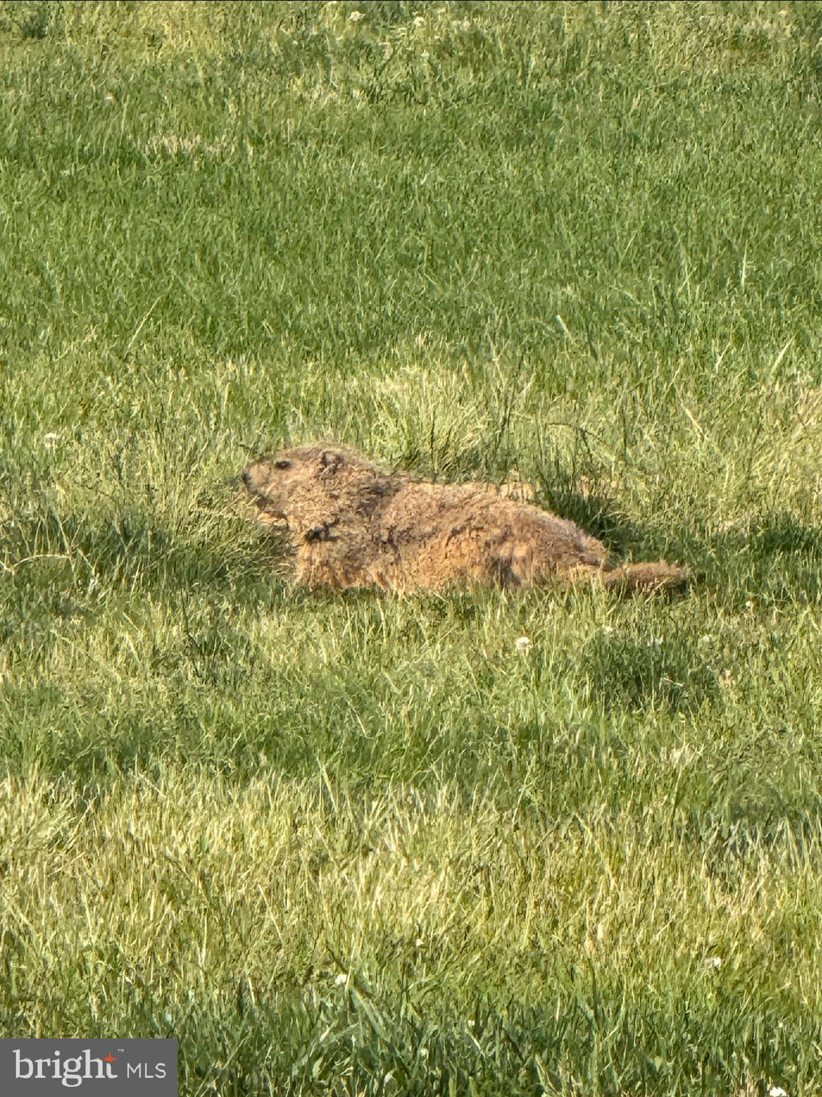 OAKTON - Residential