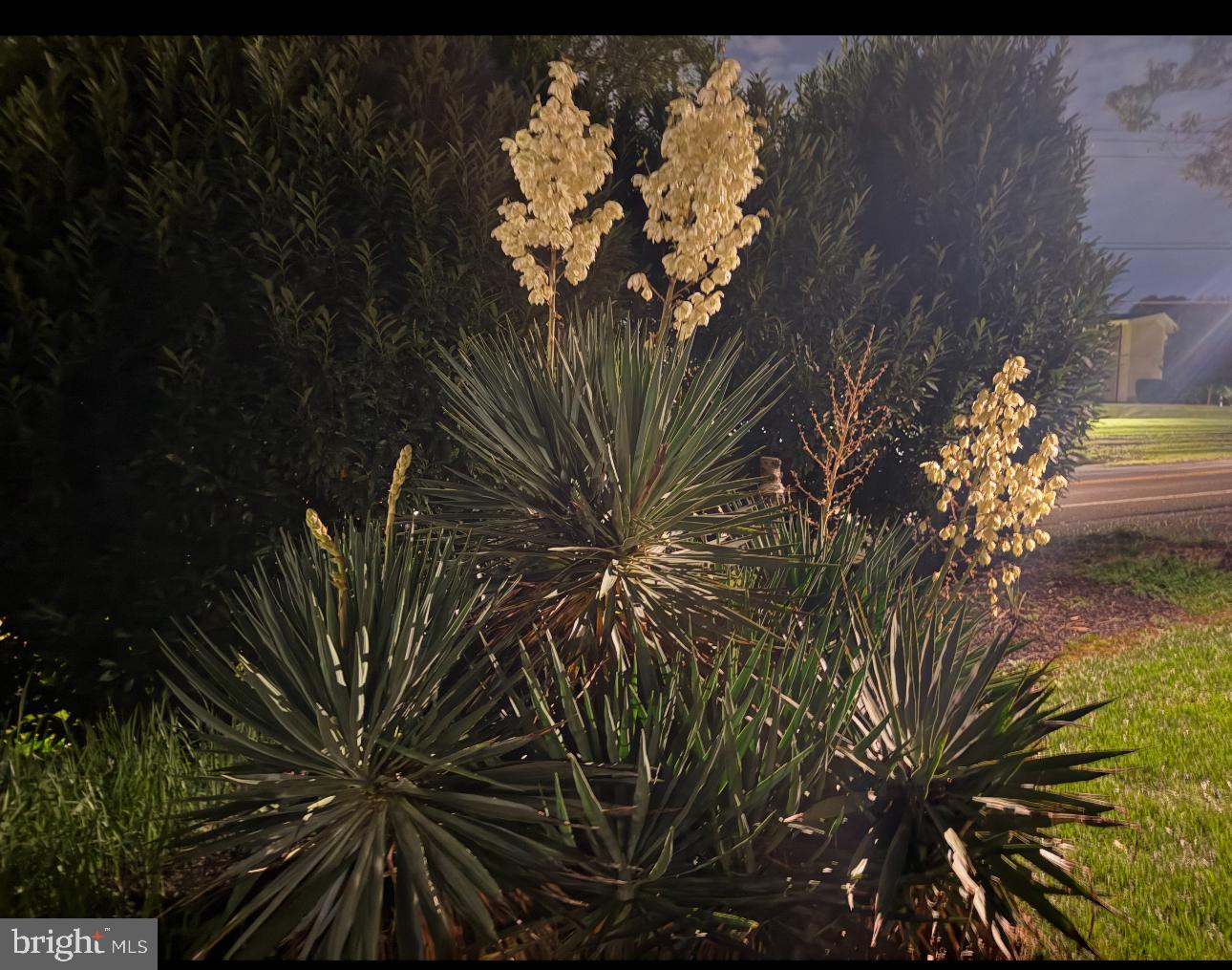 OAKTON - Residential