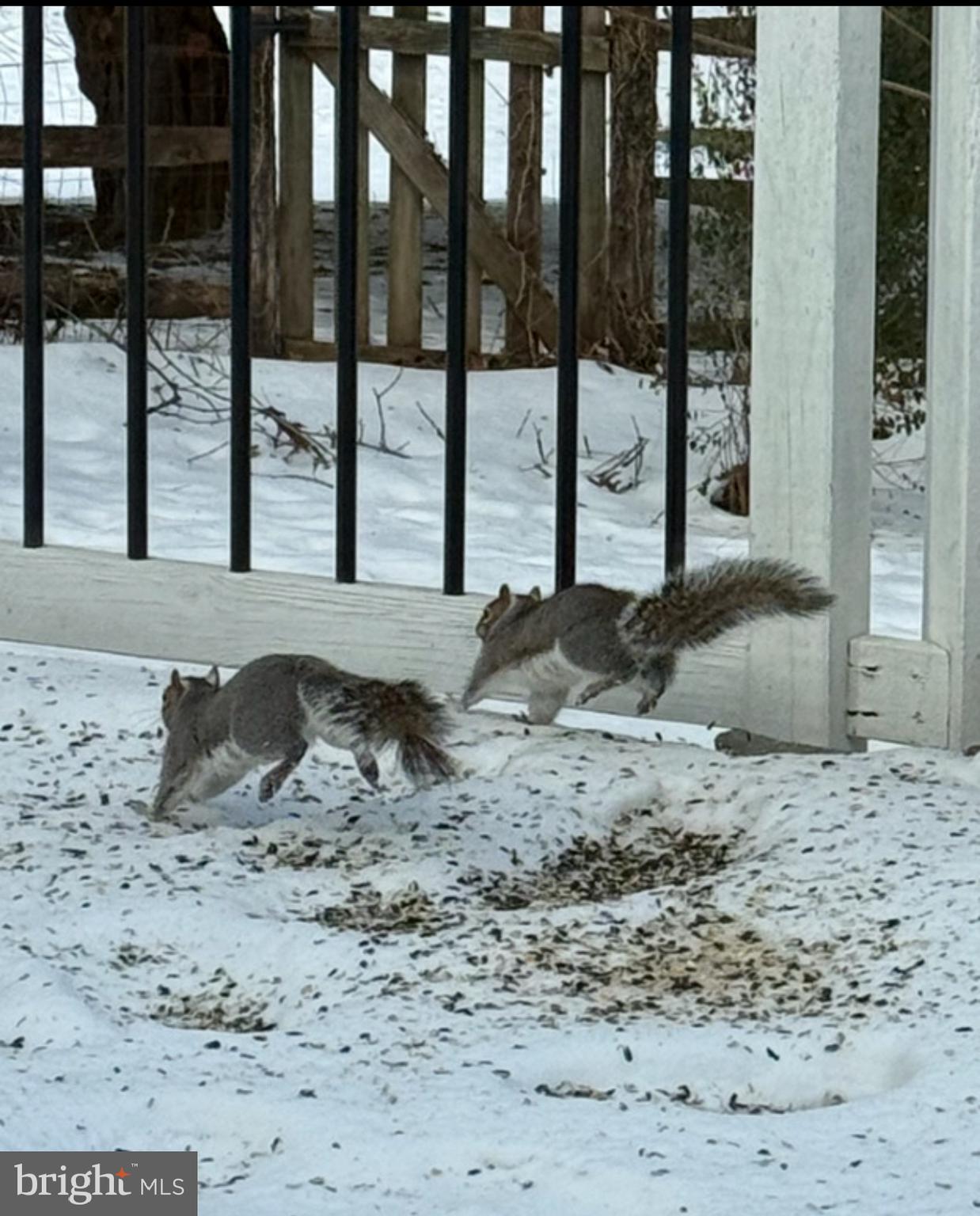 OAKTON - Residential