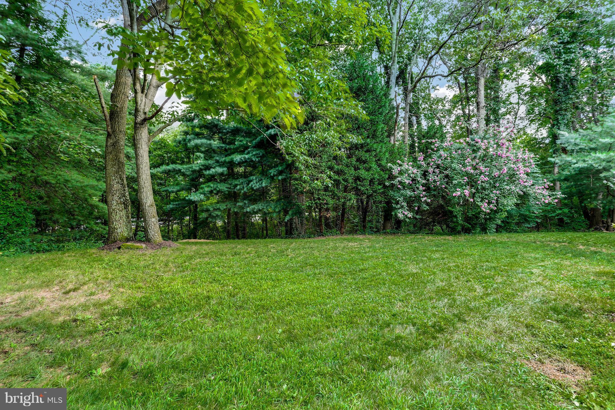 SHIPLEYS CHOICE - Residential