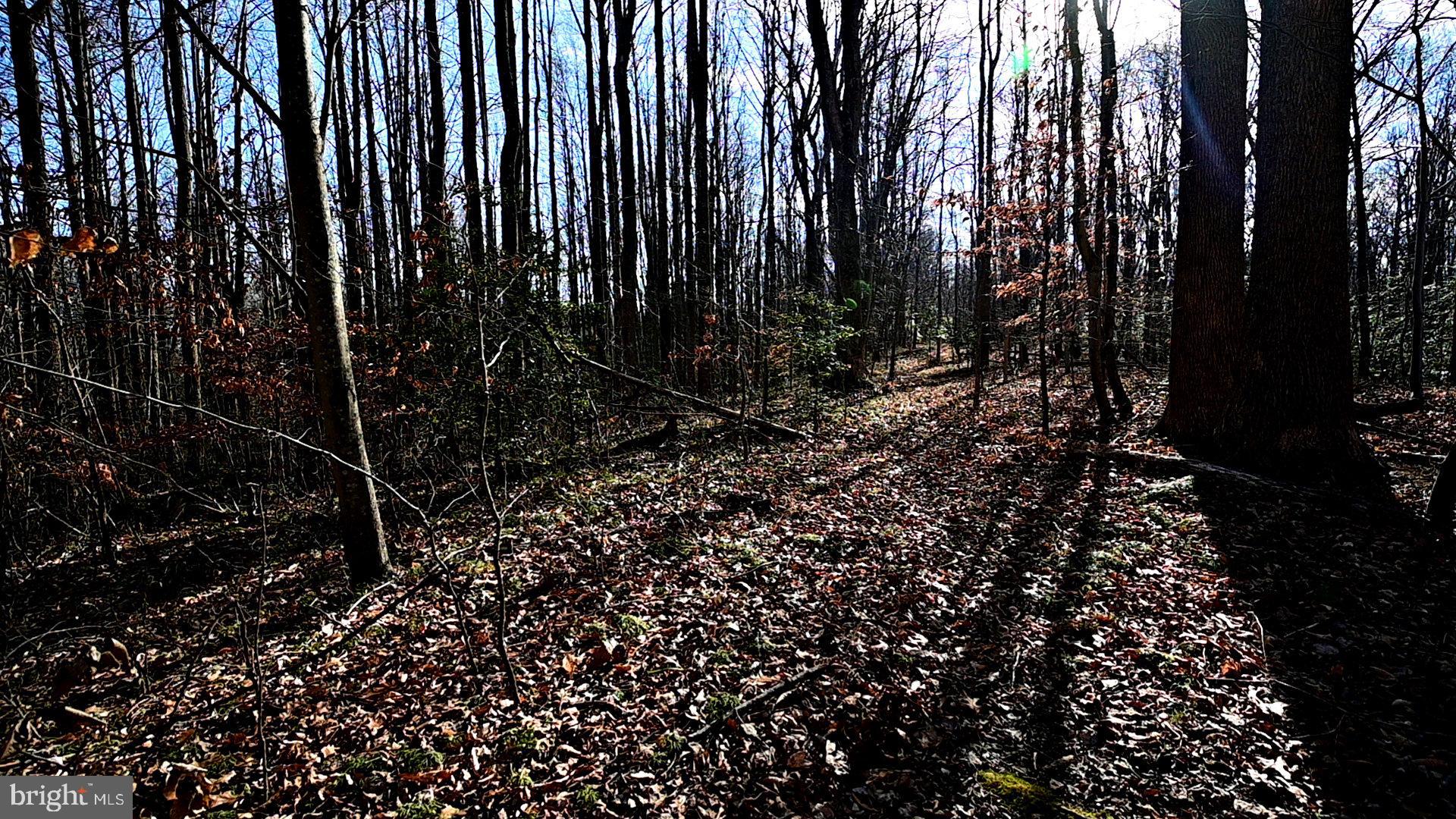 RICHARD ALLEN STREET