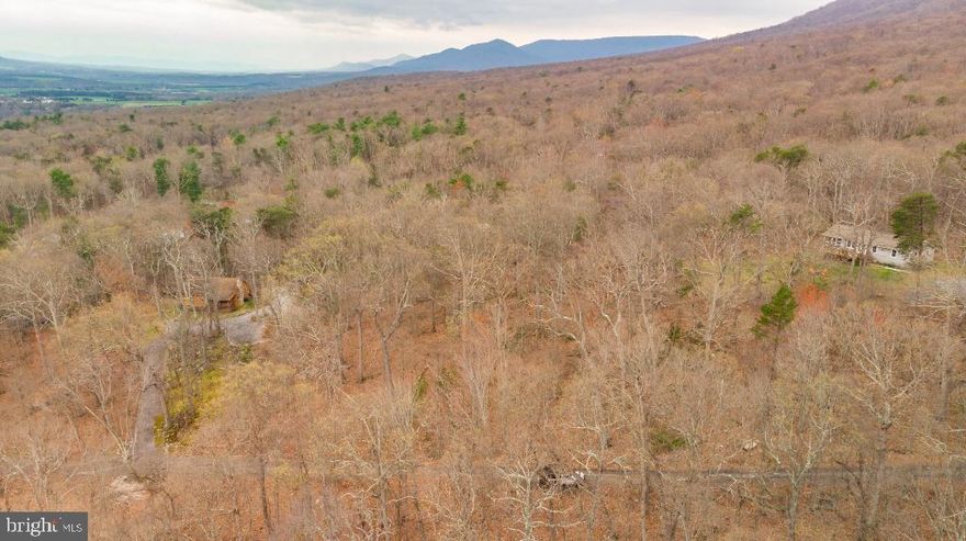 3 beautiful, wooded acres just a short ride from Luray and the Shenandoah River with nearby public boat ramps. This is a perfectly shaped lot on a scenic dead-end road in Massanutten Forest. This is a dream location for a home in the Shenandoah Valley. With so much natural beauty and being just over an hour and a half drive from DC, this could also be the site of an excellent rental property.