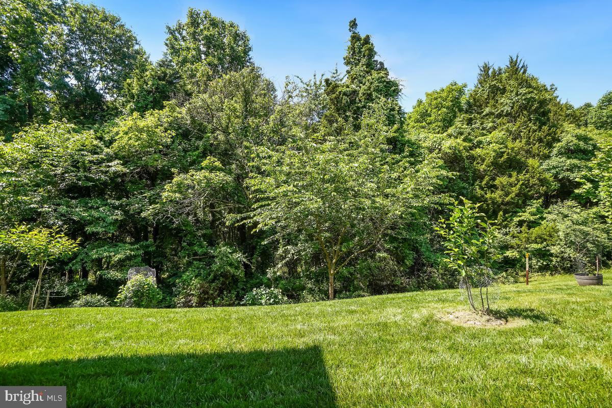 CENTENNIAL OVERLOOK - Residential Lease