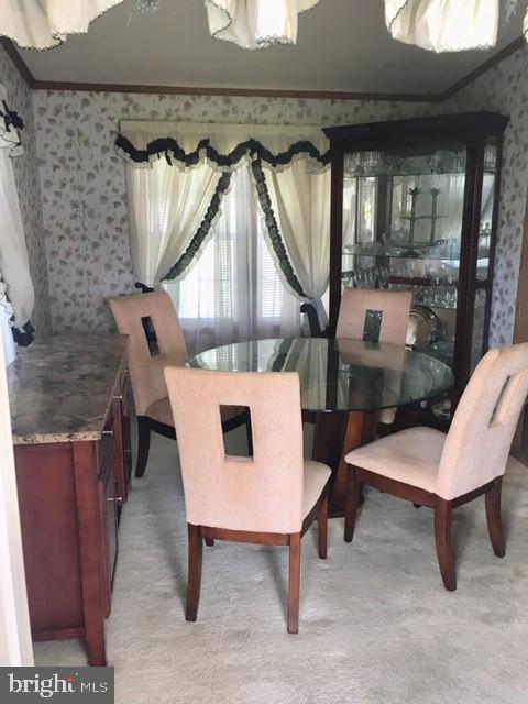 FOREST GREEN MOBILE HOME PARK - Residential