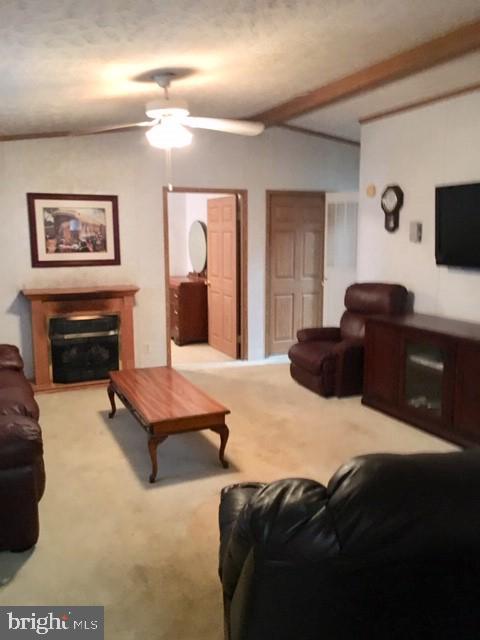 FOREST GREEN MOBILE HOME PARK - Residential