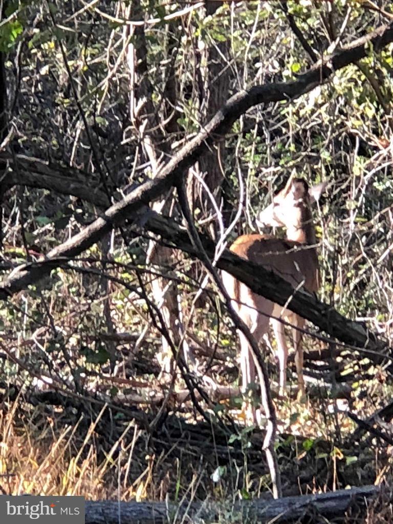 KEYES FERRY ACRES - Residential