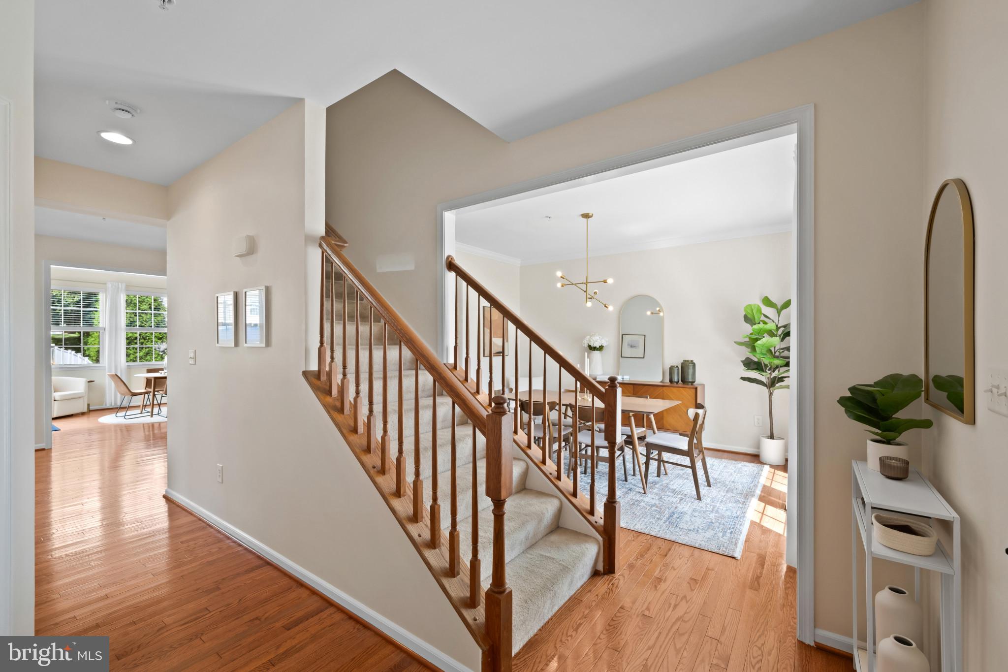 802 DRESSAGE COURT