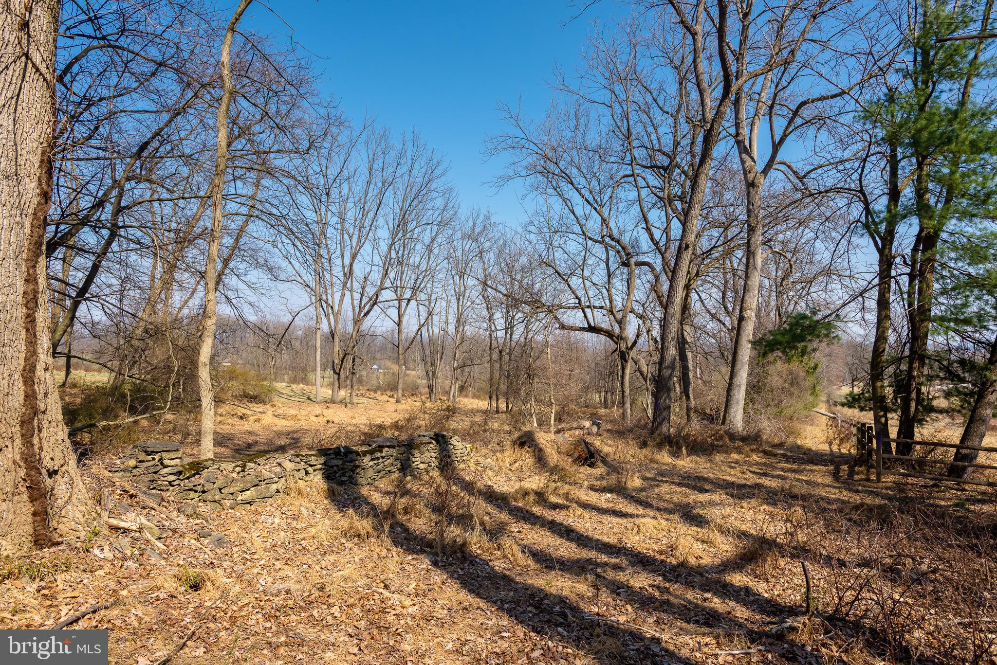 FOUR OAKS FARM - Residential