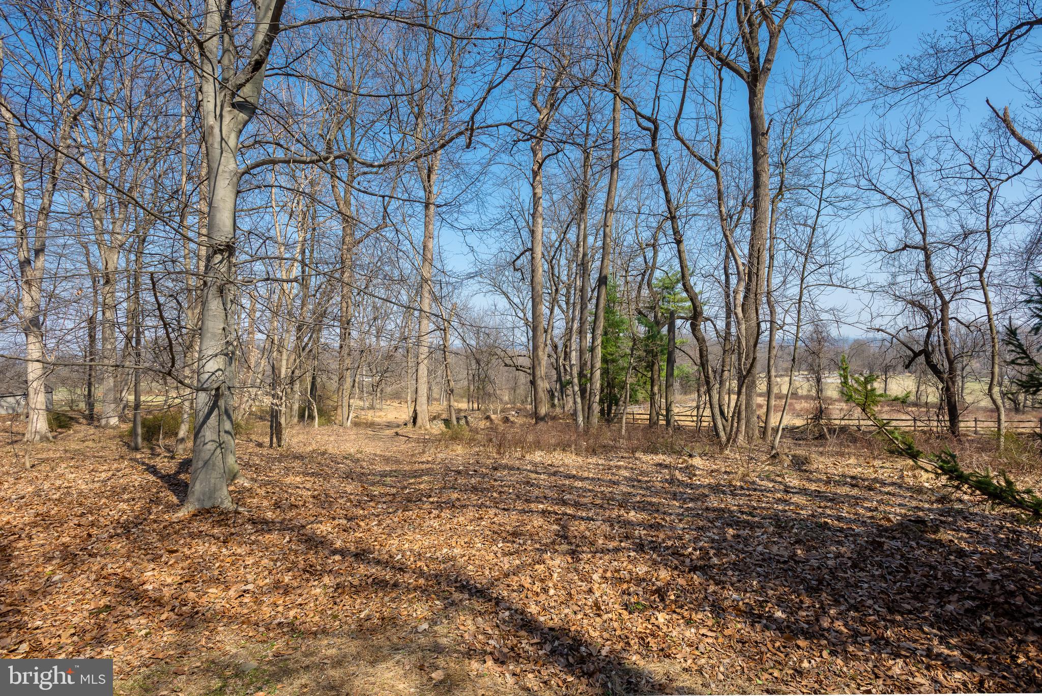 FOUR OAKS FARM - Residential