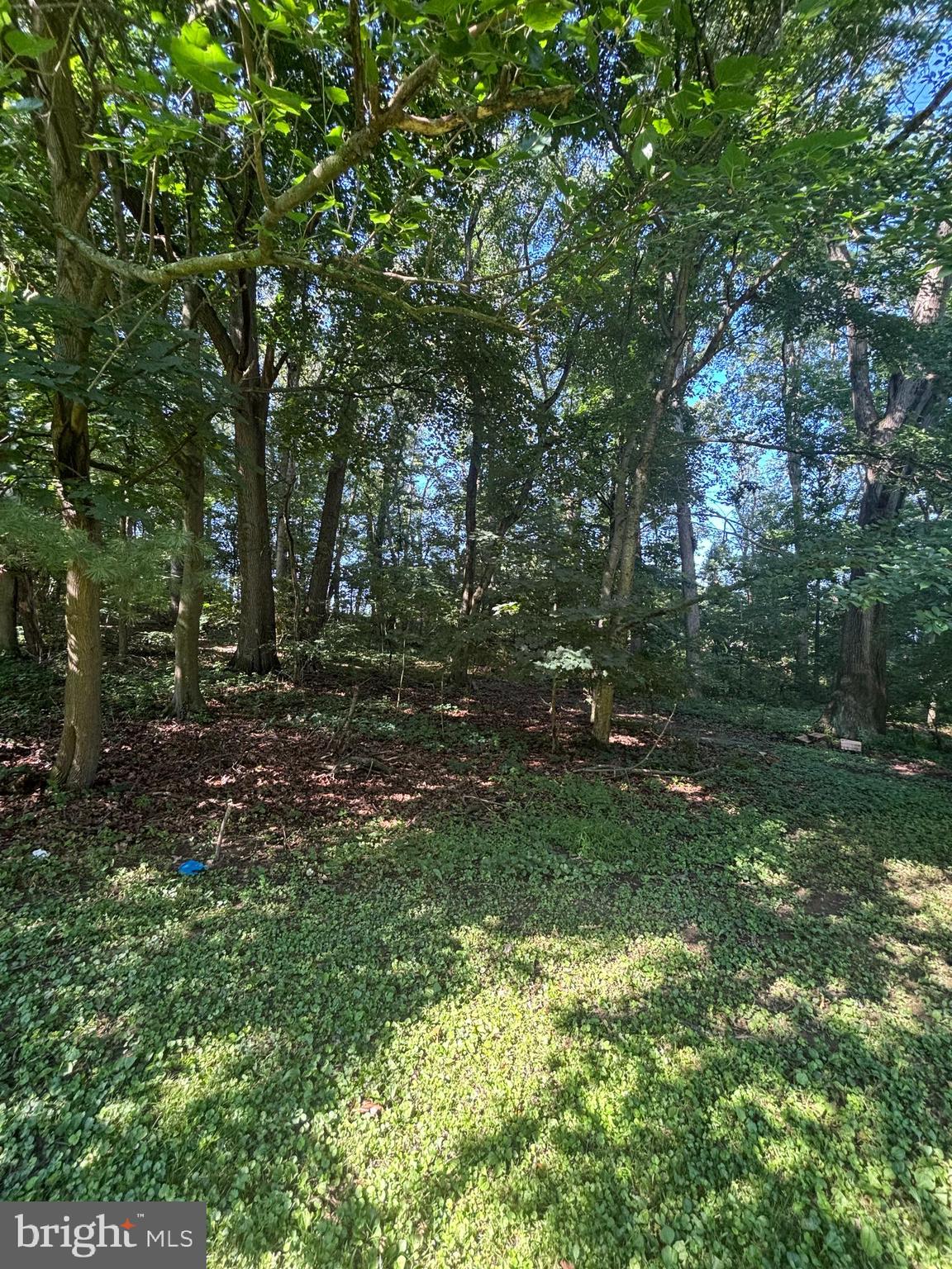 LEES MILL ROAD