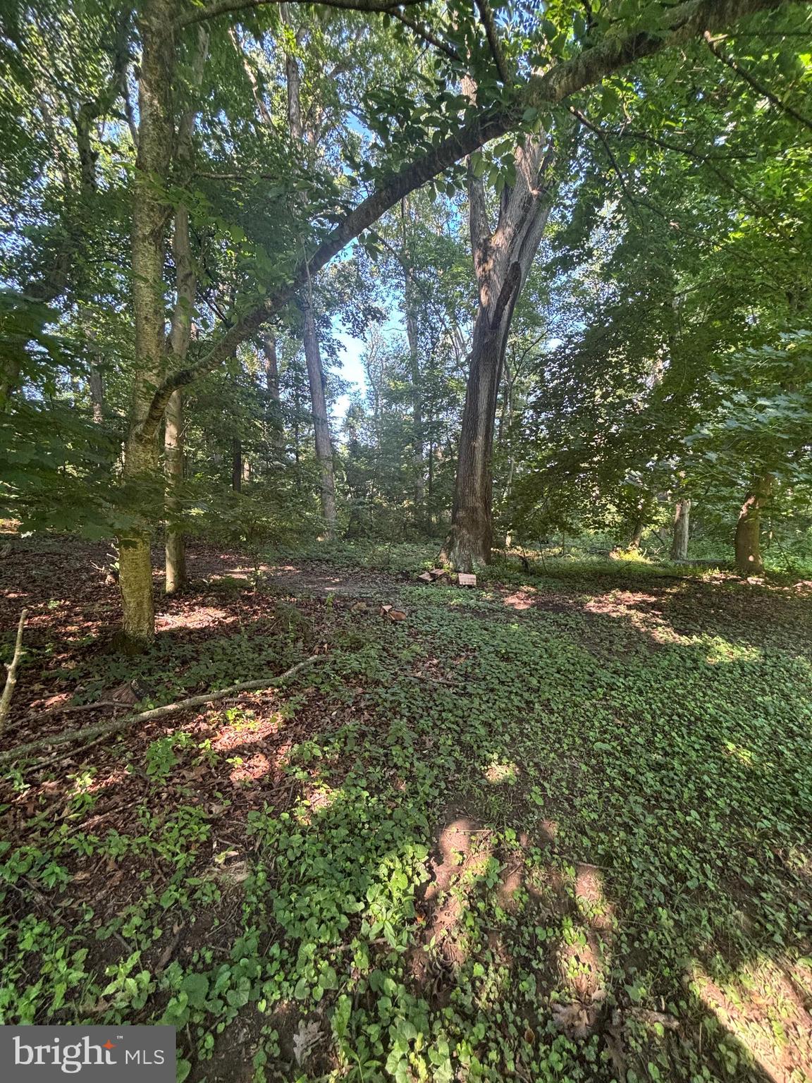 LEES MILL ROAD