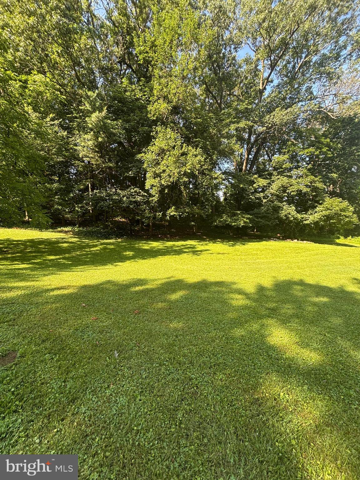 LEES MILL ROAD