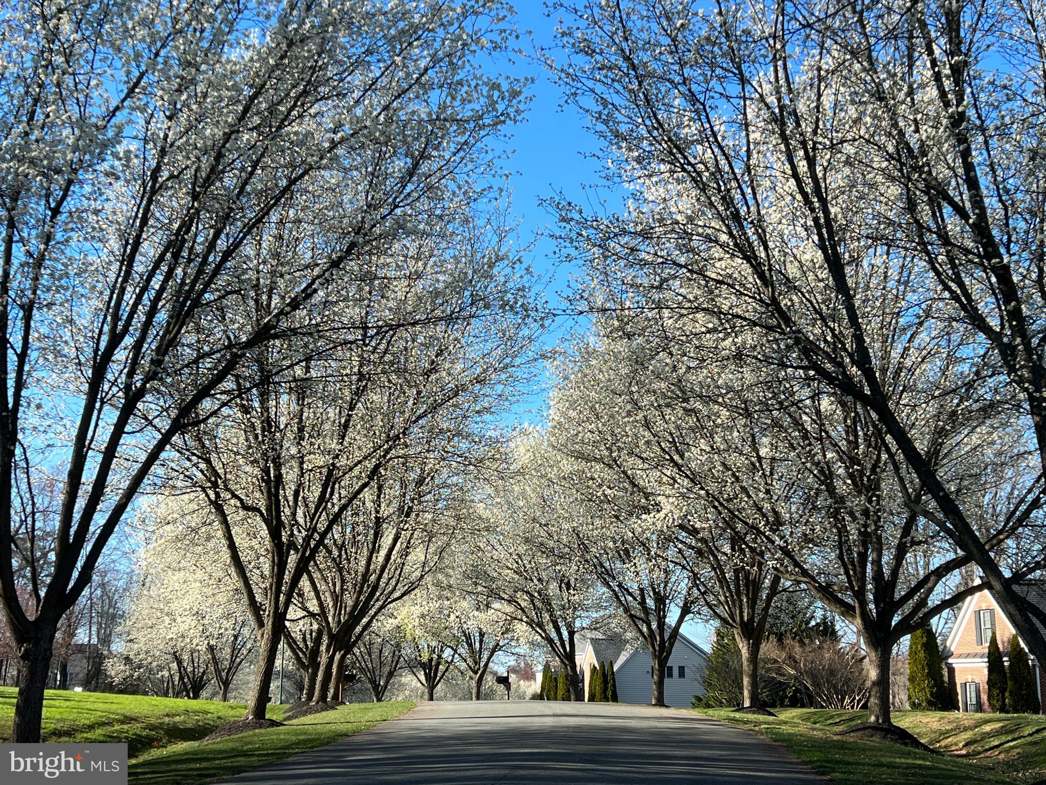 GREENHILLS FARM - Residential
