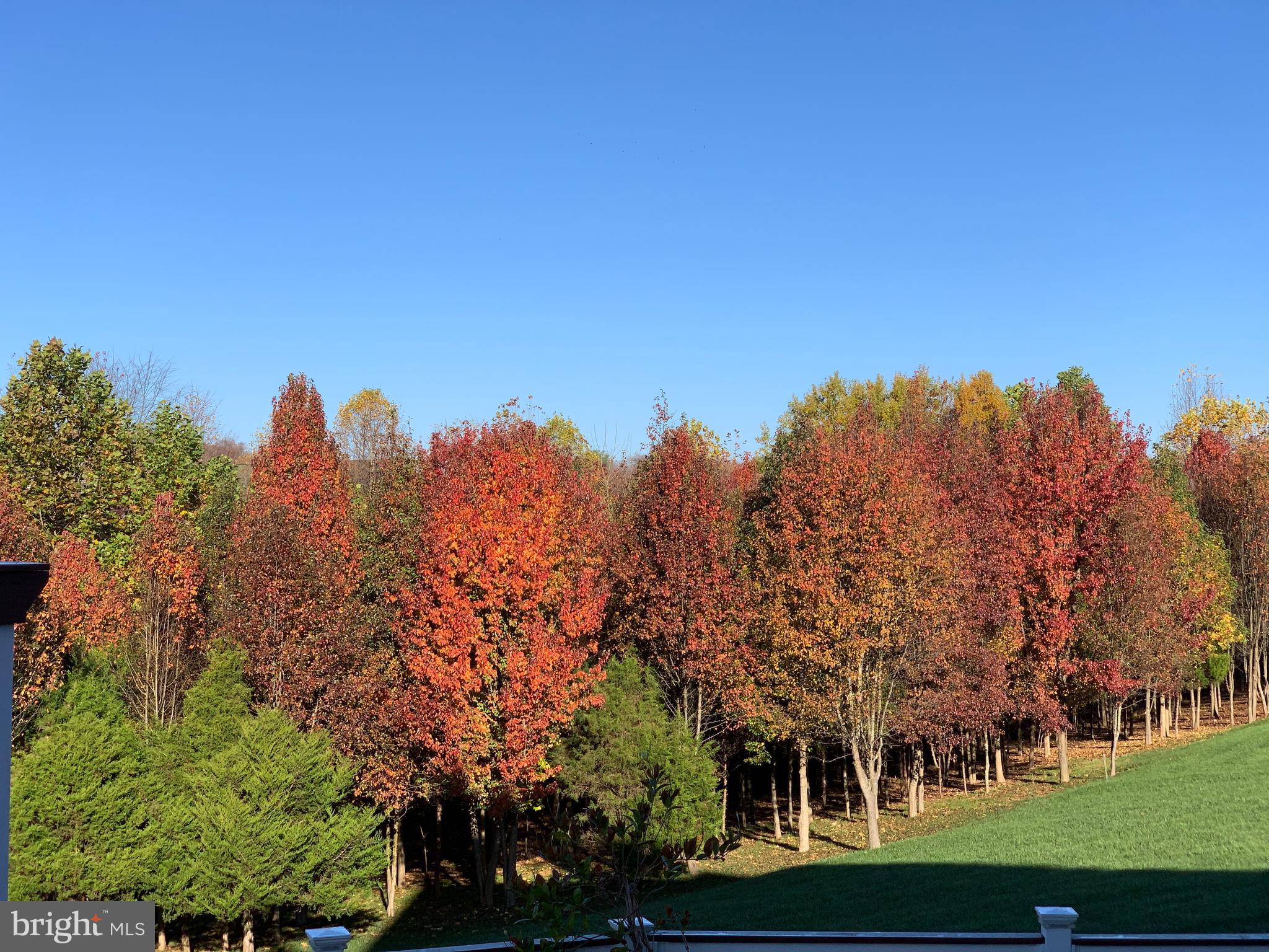 GREENHILLS FARM - Residential