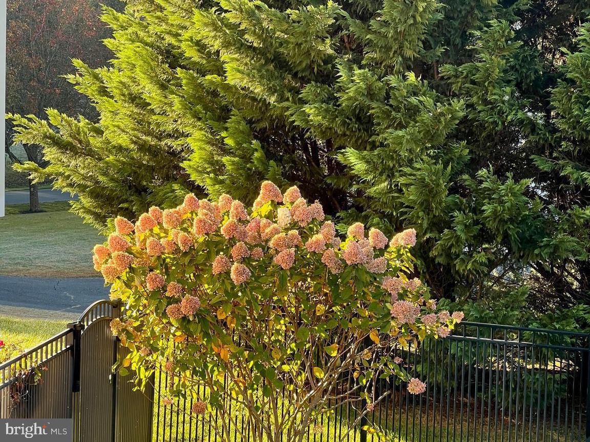 GREENHILLS FARM - Residential