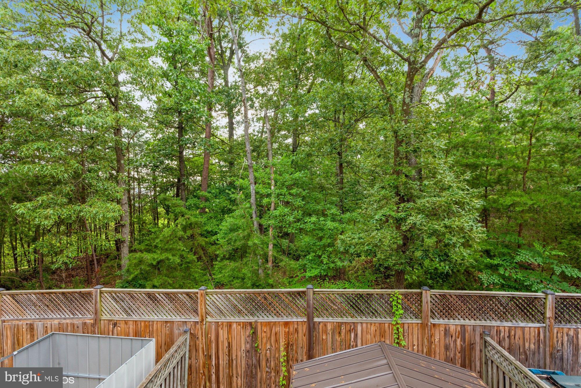 CARRIAGE PINES/LAKE VILL - Residential