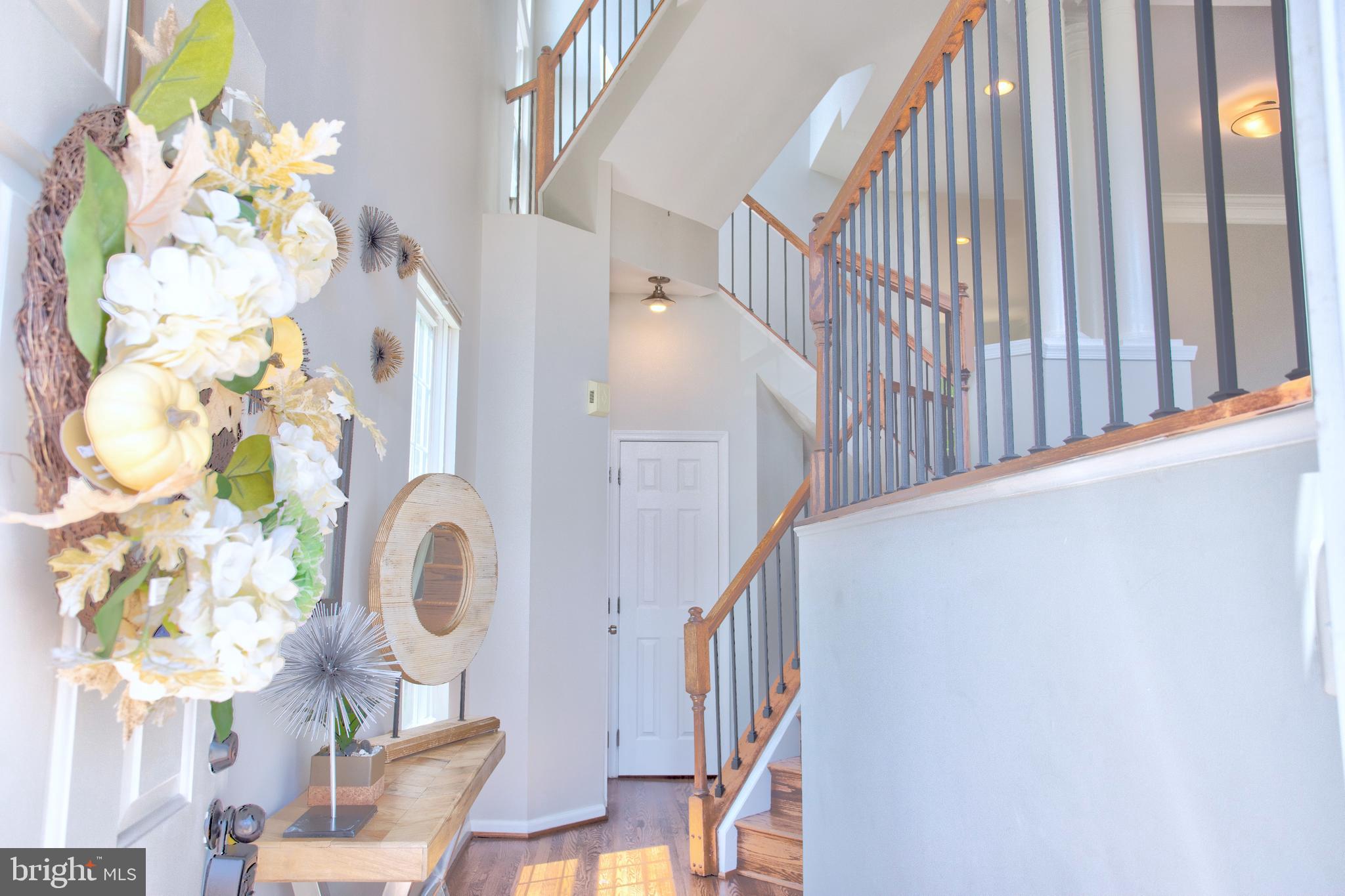 ISLAND CREEK - Residential