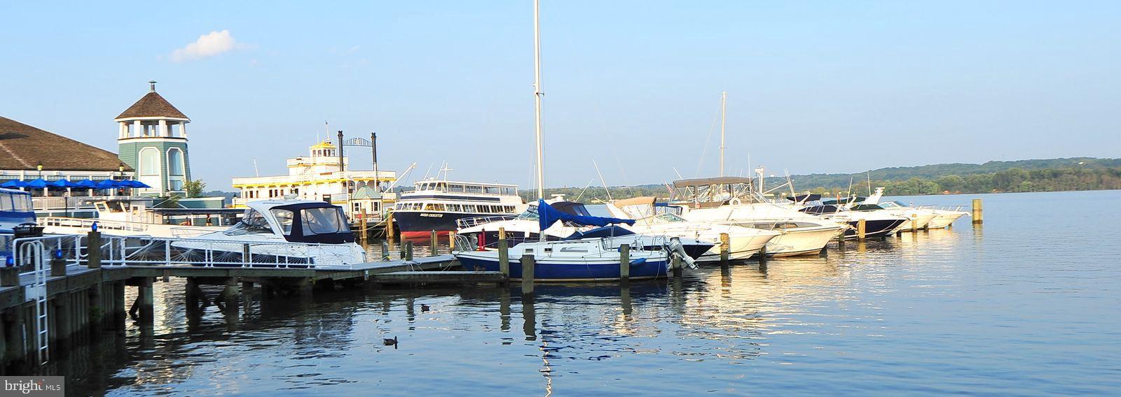 OLD TOWN ALEXANDRIA - Residential