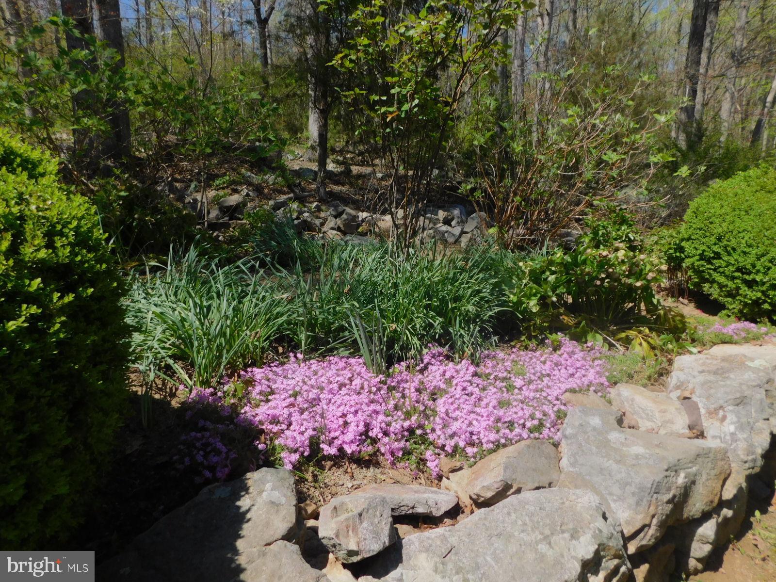 HANGING ROCK RIDGE ESTATES - Residential