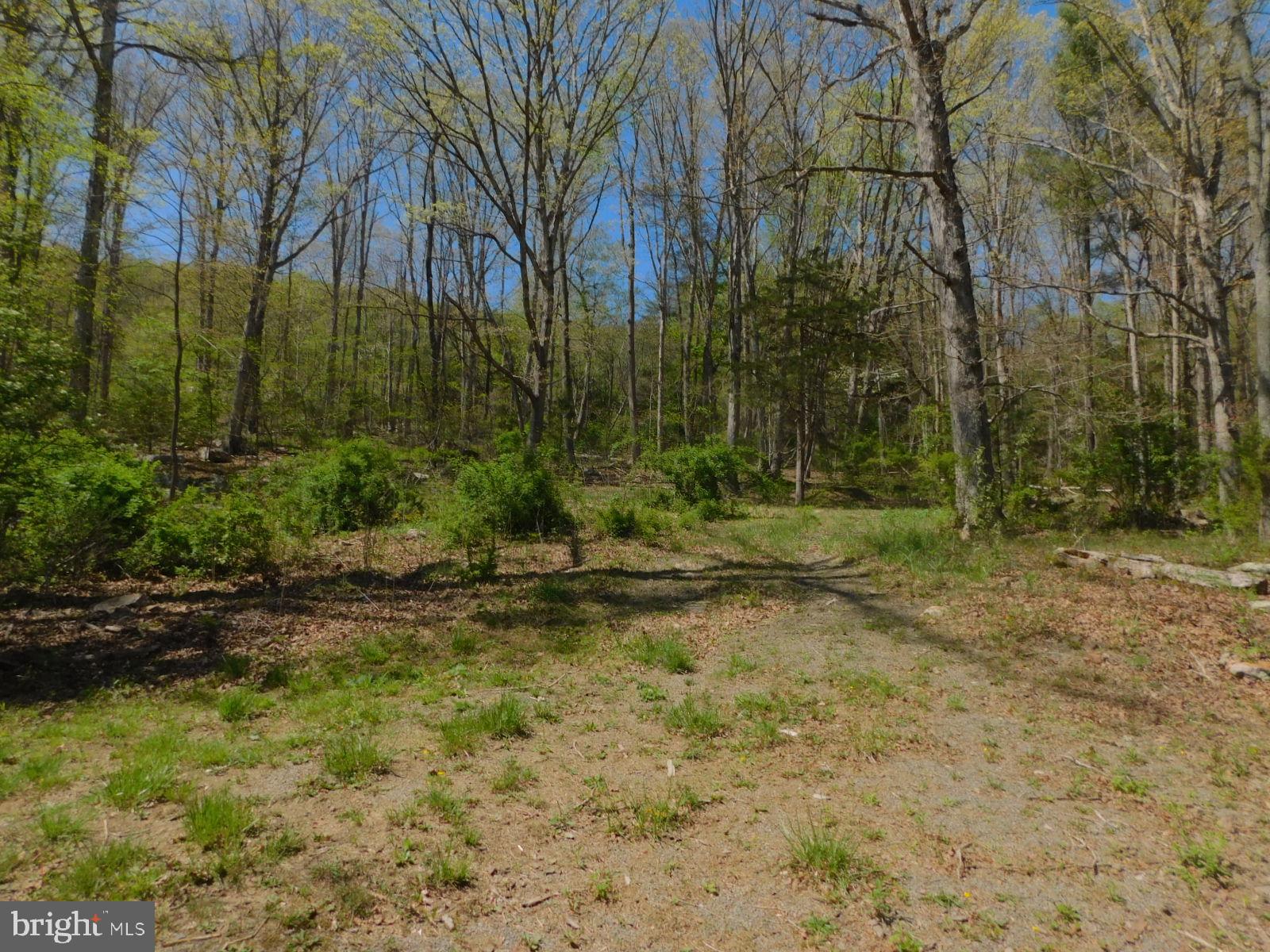 HANGING ROCK RIDGE ESTATES - Residential