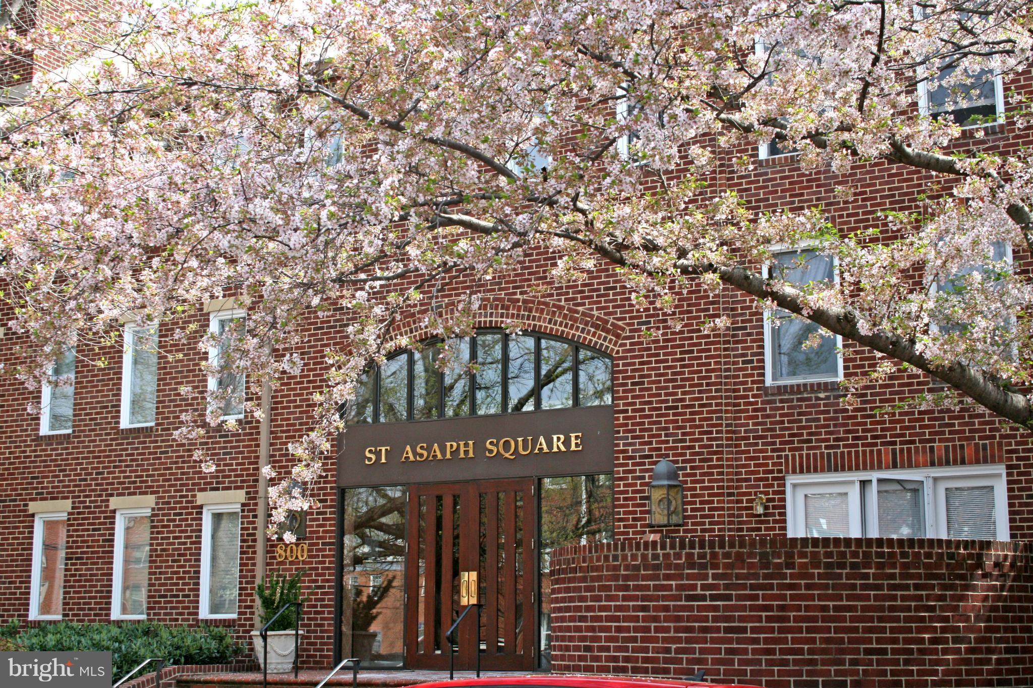 ST ASAPH SQUARE - Residential Lease