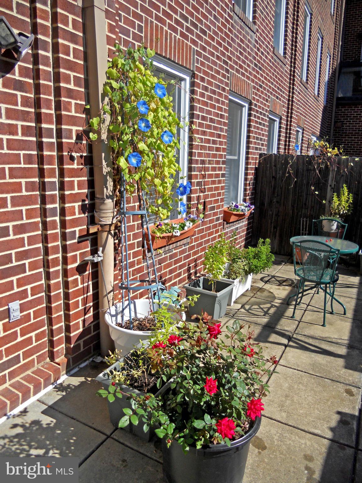 ST ASAPH SQUARE - Residential Lease