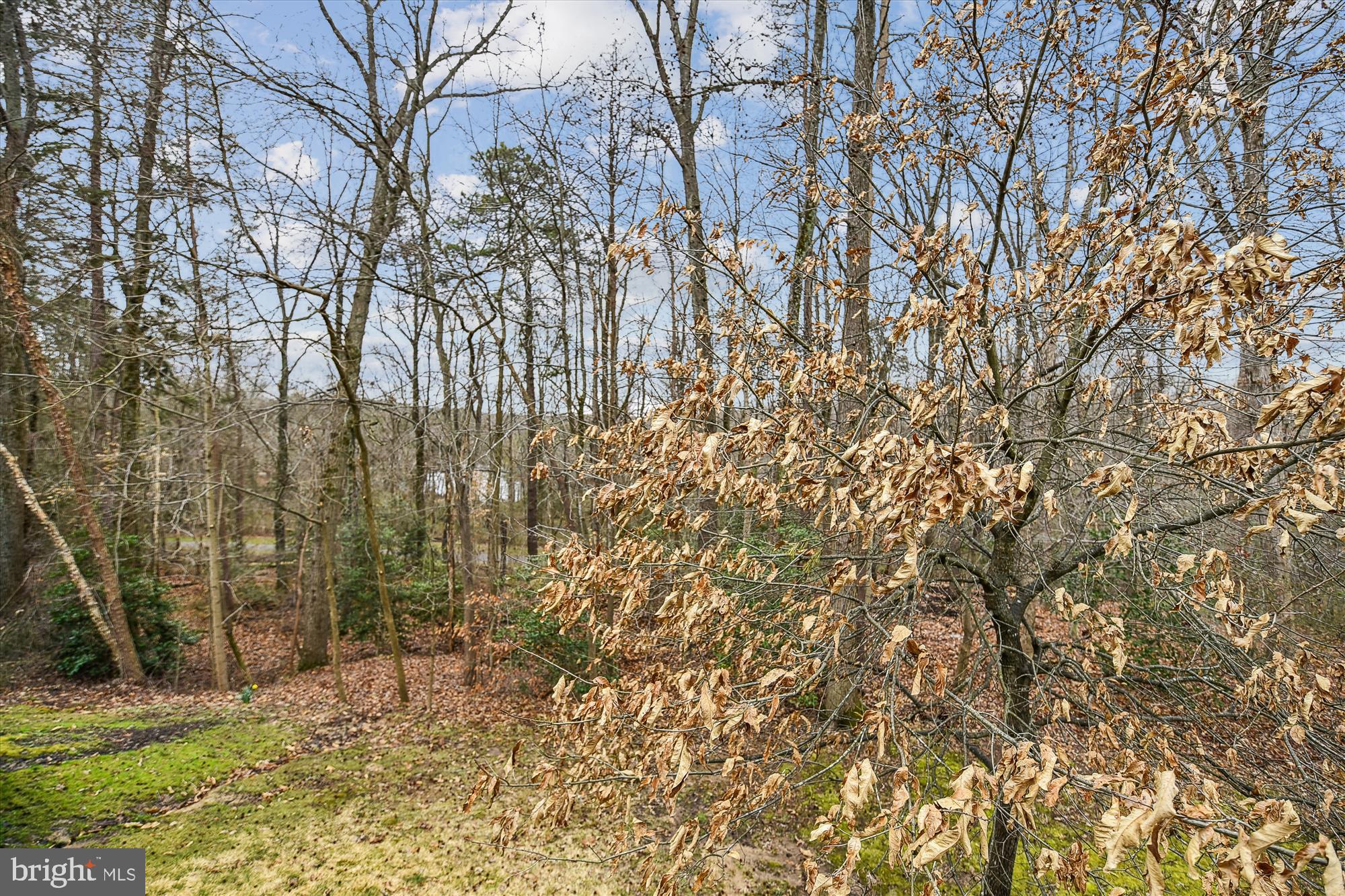 PINEY ORCHARD - Residential