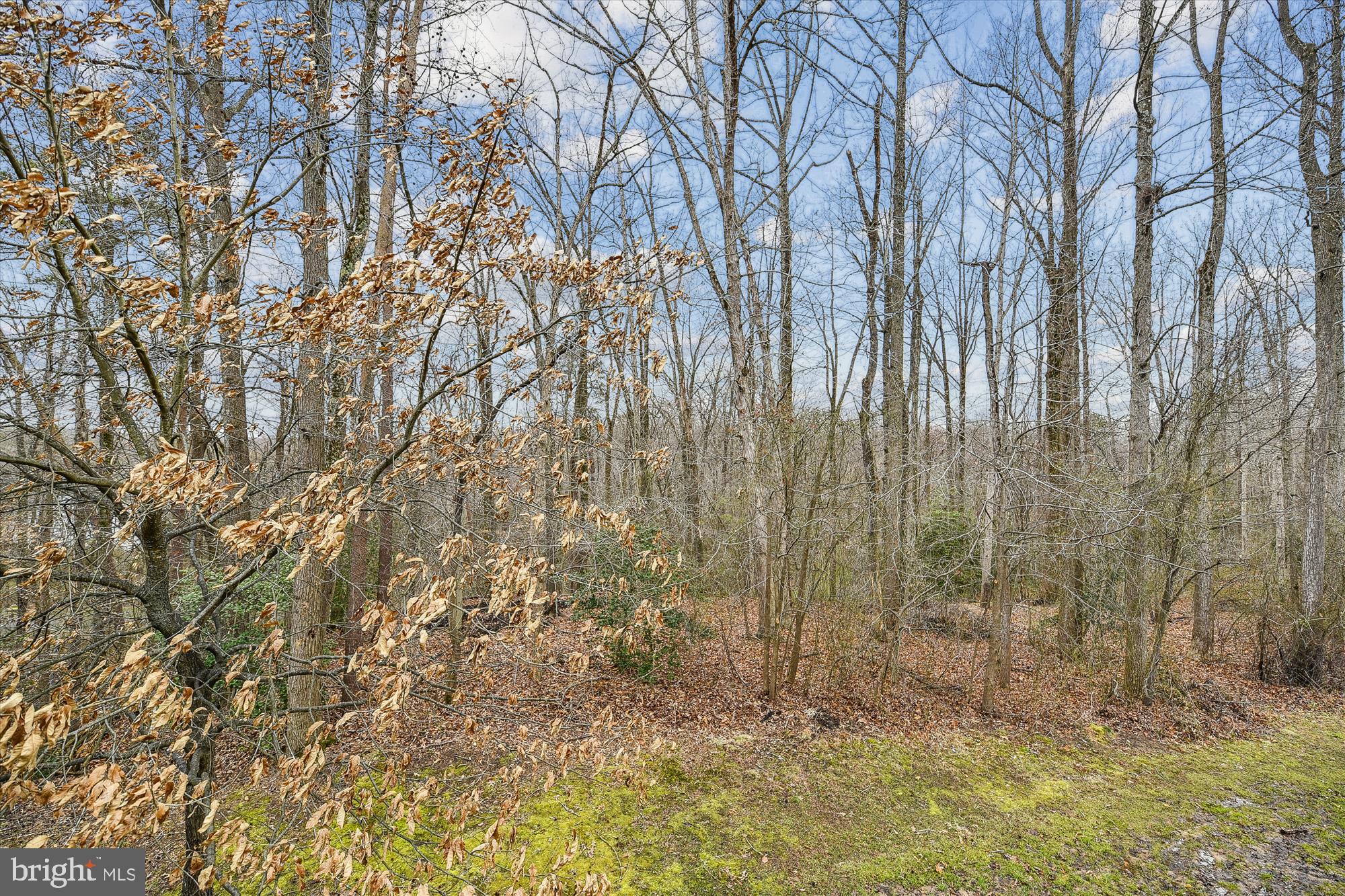 PINEY ORCHARD - Residential