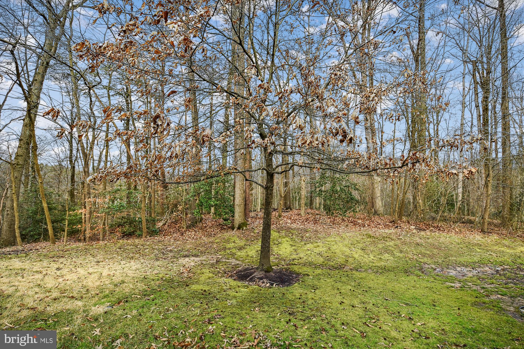 PINEY ORCHARD - Residential