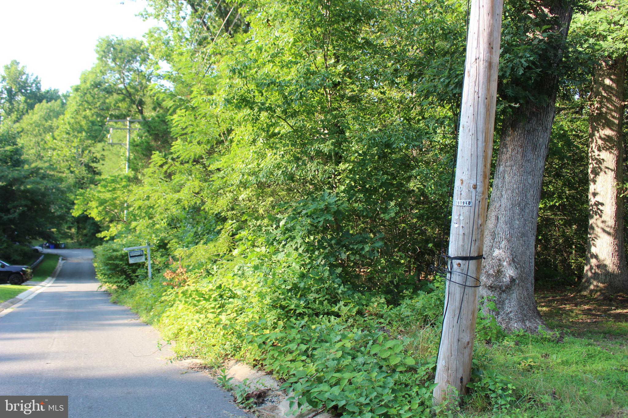 MANDEVILLE ROAD