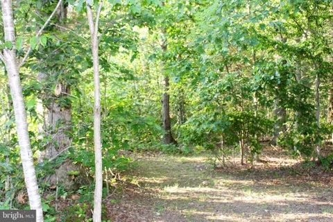 Photo of Mandeville Road, JOPPA, MD 21085 (MLS # MDHR2057640)