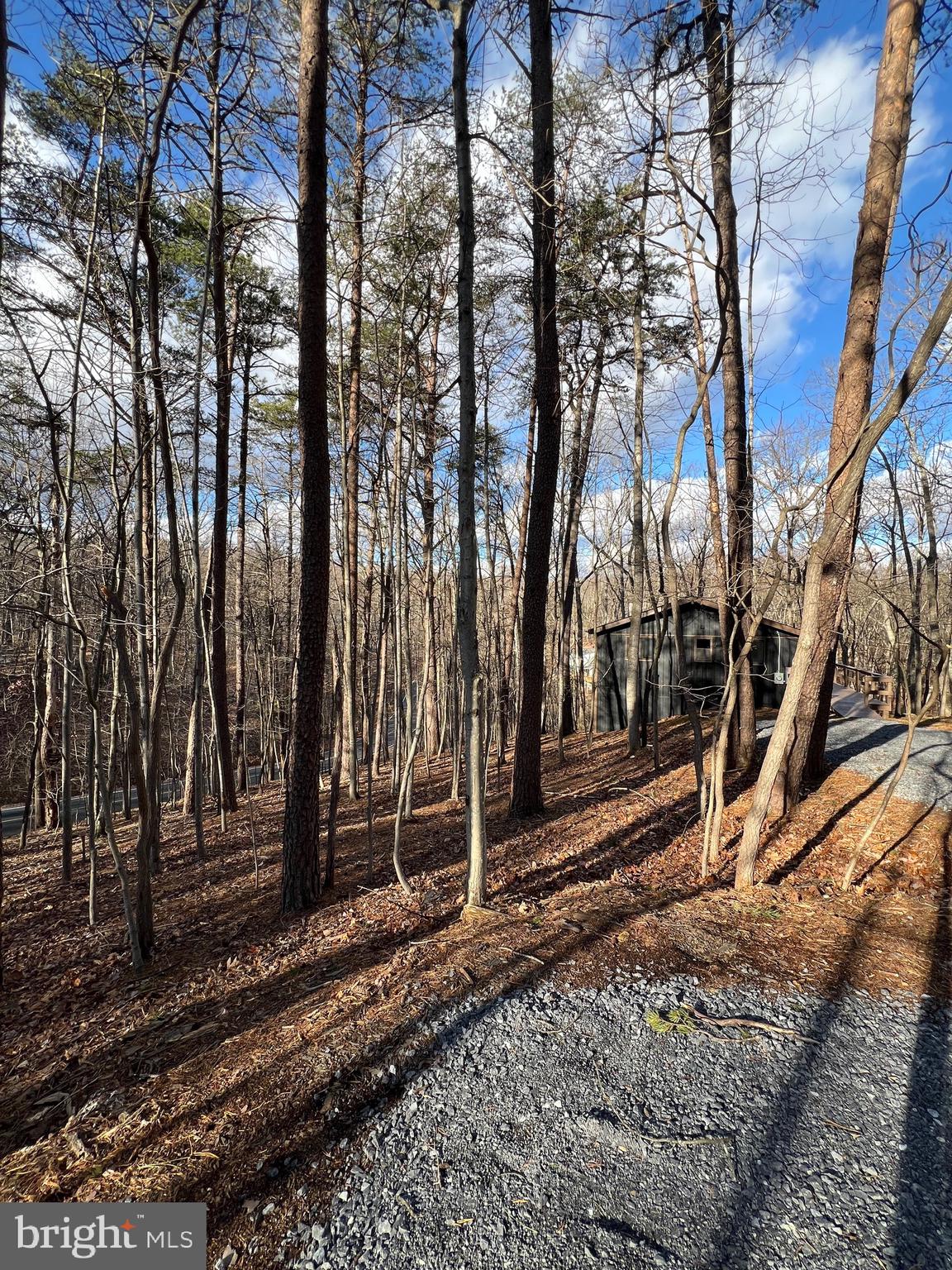 THE WOODS RESORT - Residential