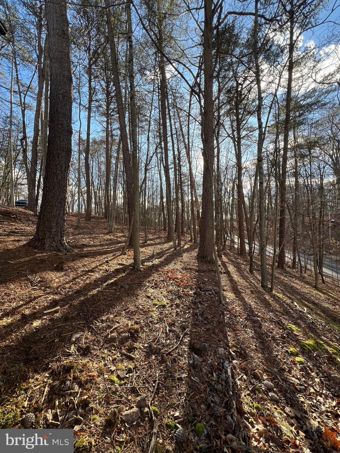 THE WOODS RESORT - Residential