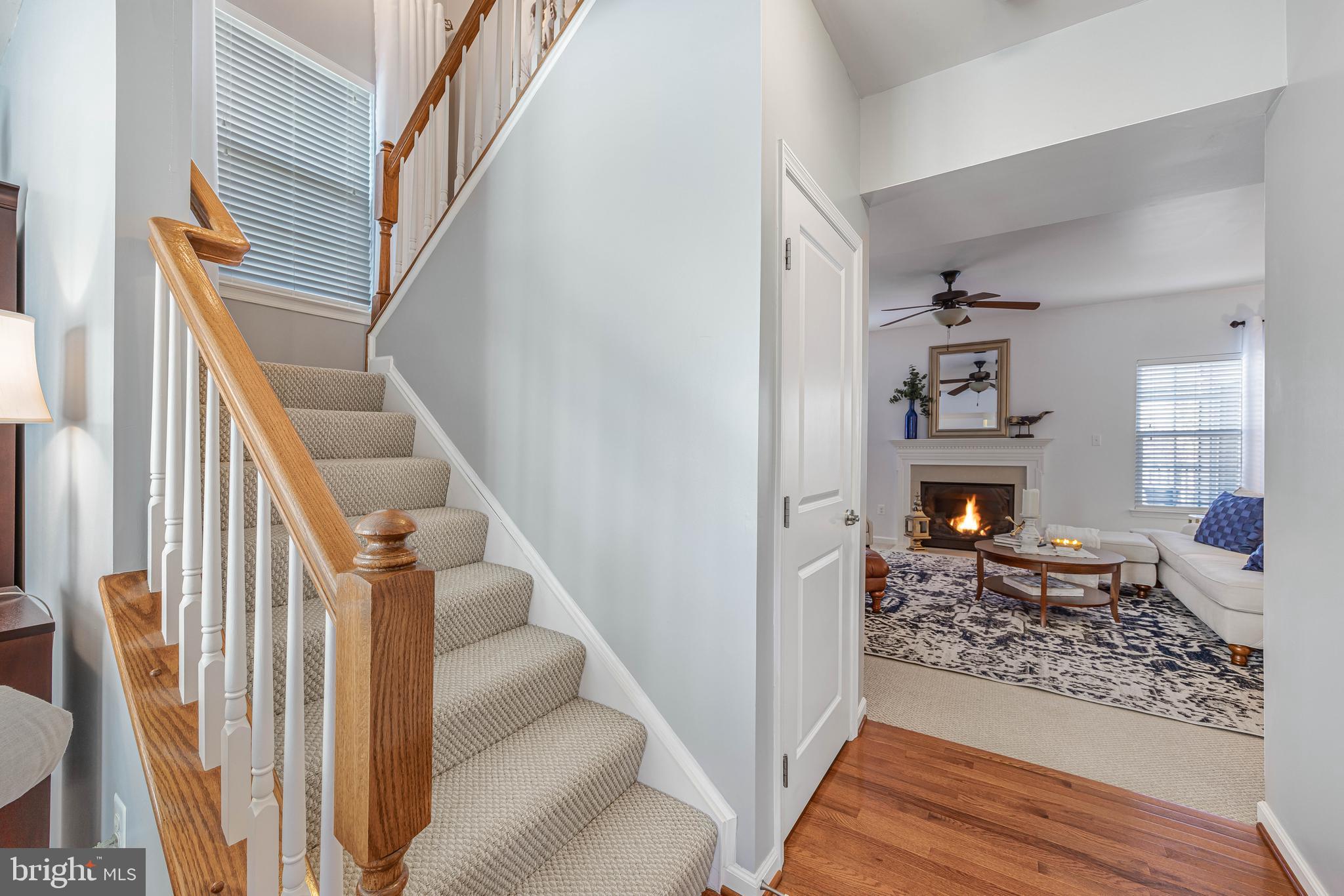 THREE FLAGS - Residential