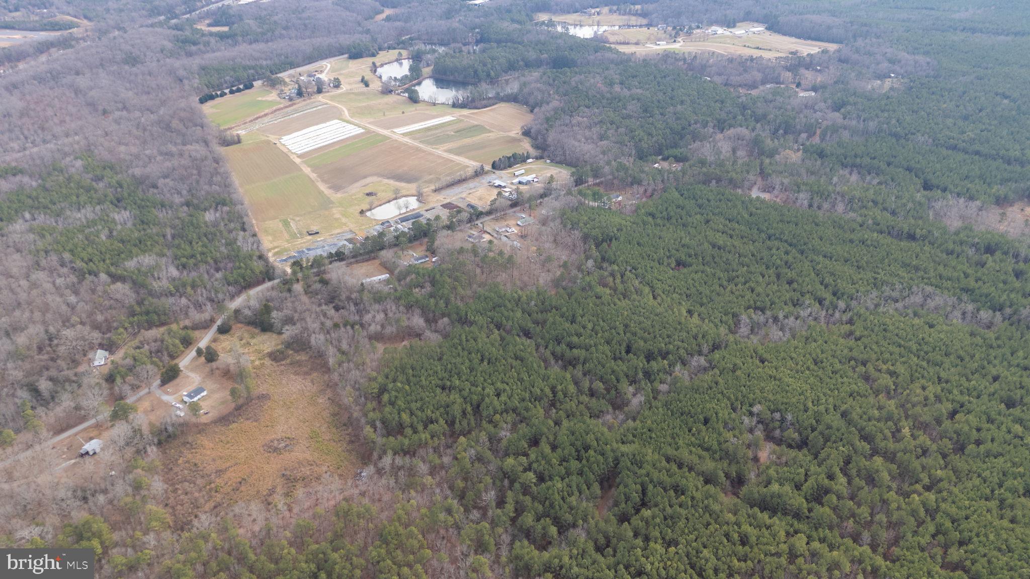 23206 TELEGRAPH ROAD