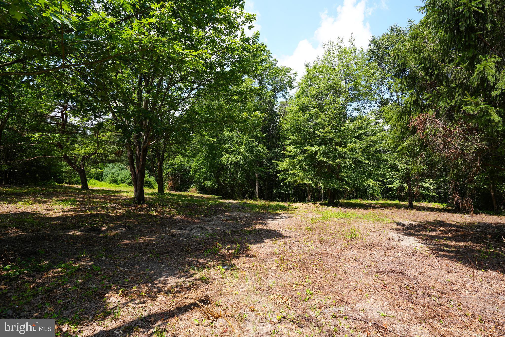 CHERRY HILL ROAD