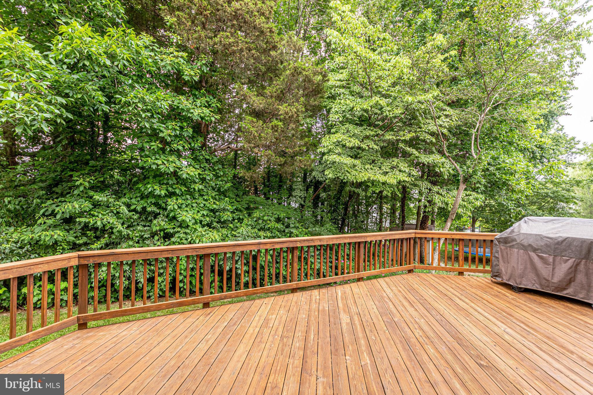 DOMINION RIDGE - Residential