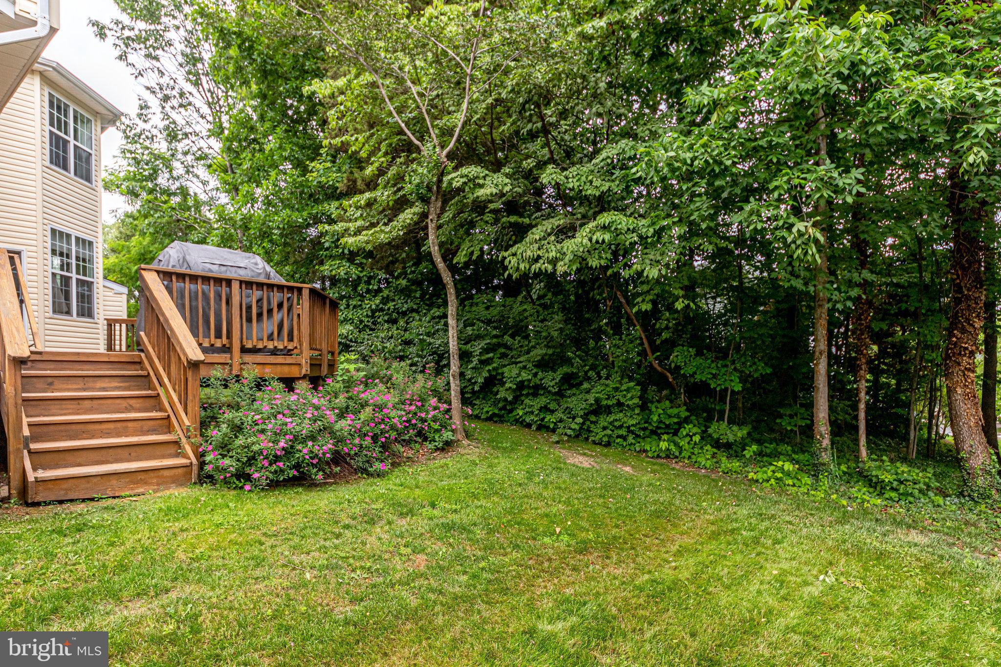 DOMINION RIDGE - Residential