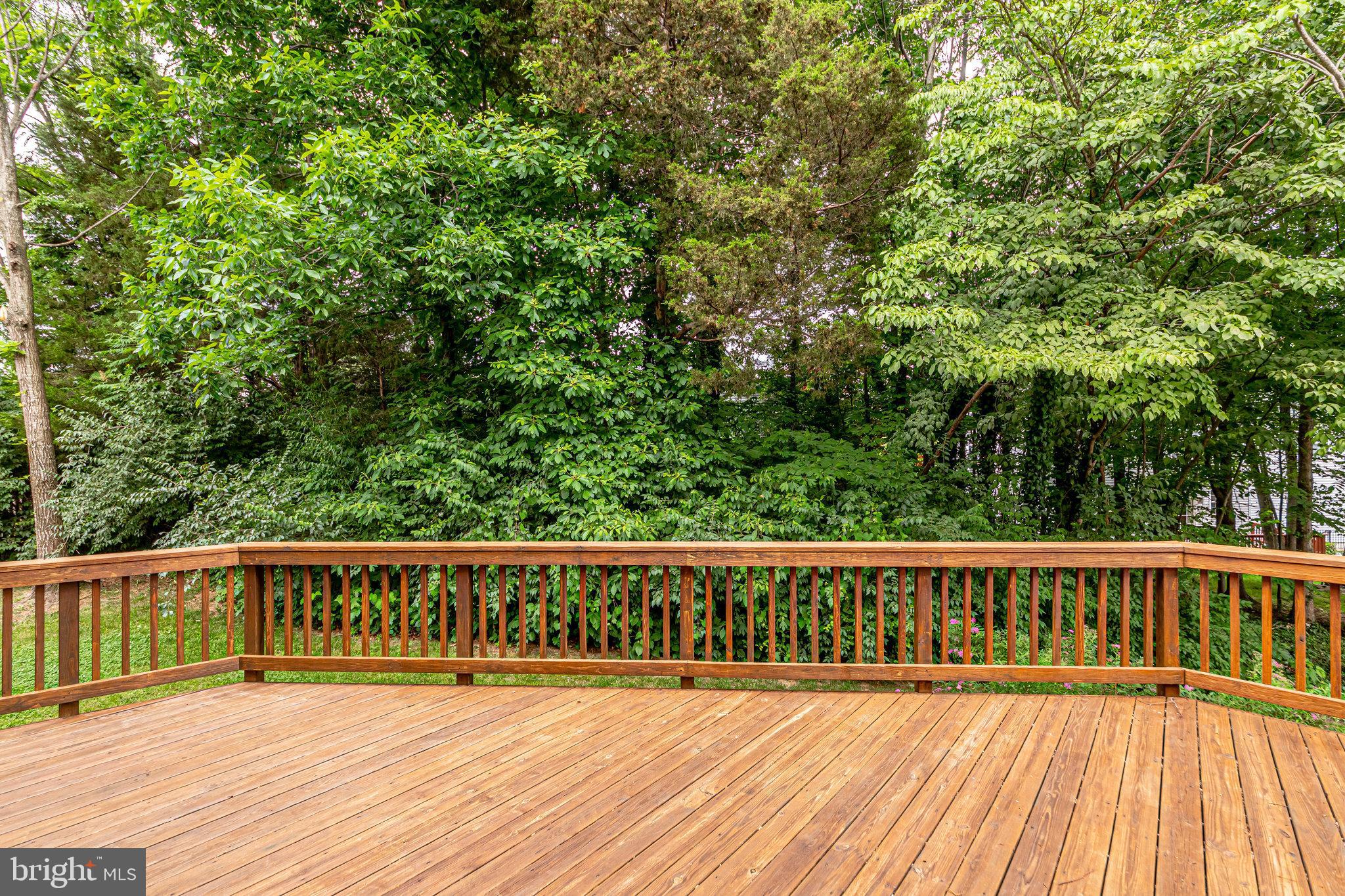 DOMINION RIDGE - Residential