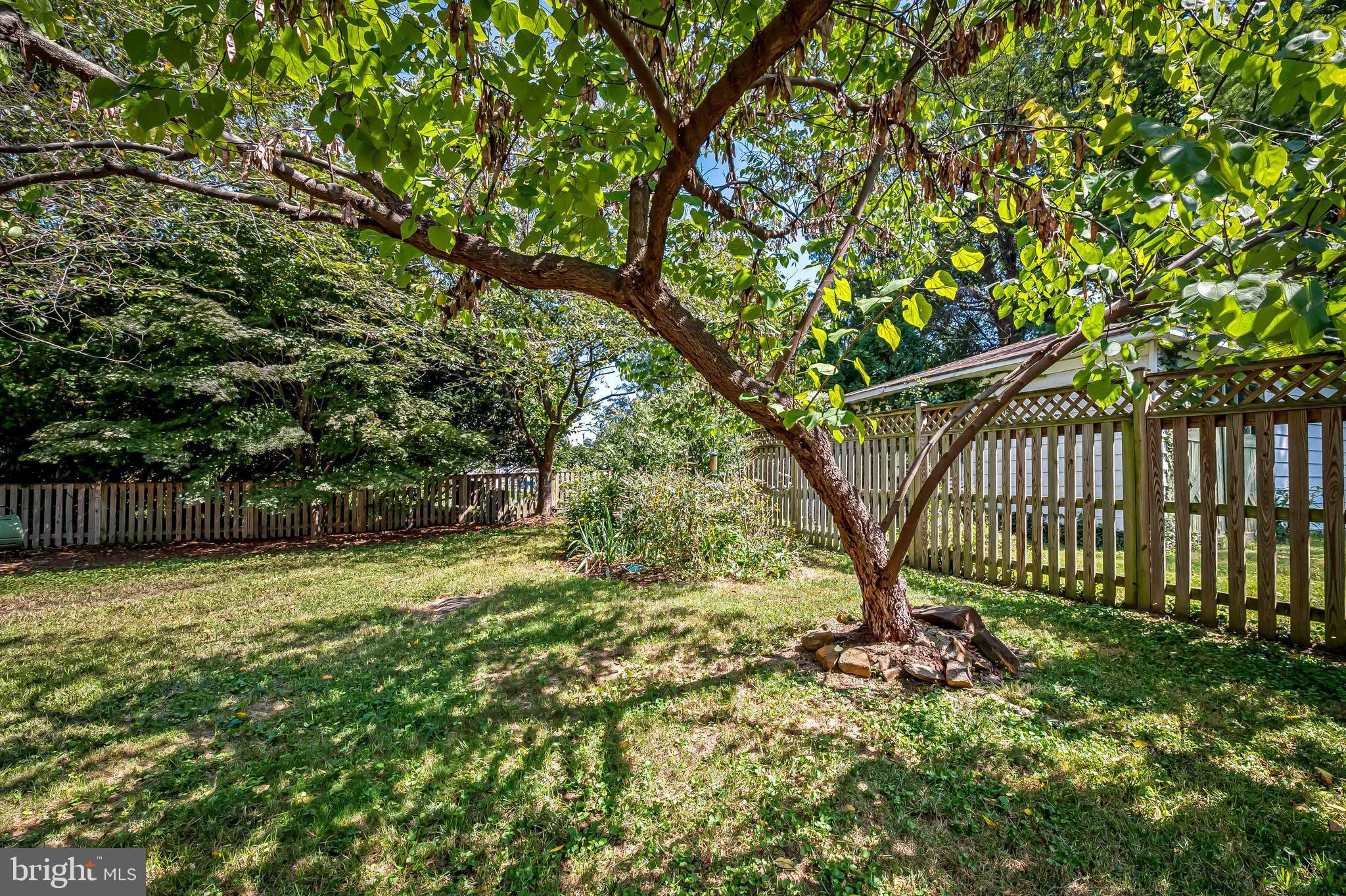 MOUNT WASHINGTON - Residential