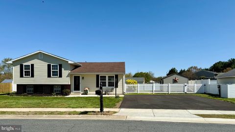 8635 BRENTON DRIVE EASTON MD 21601