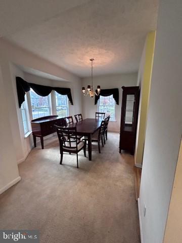 WALNUT POINT - Residential