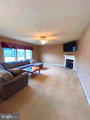 WALNUT POINT - Residential