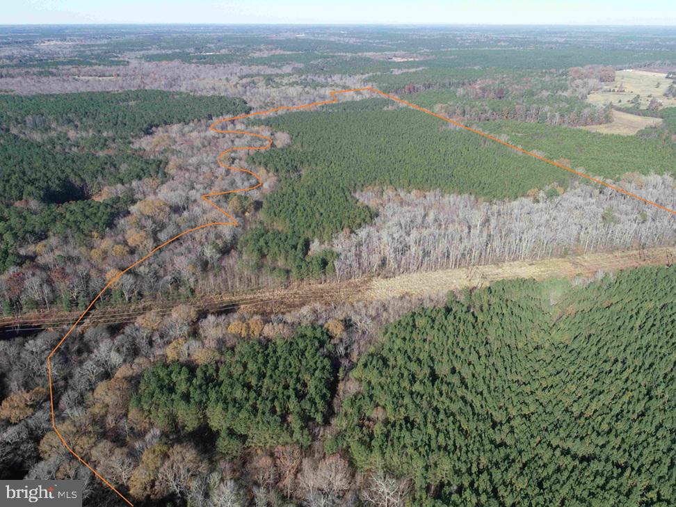 SLAGLES LAKE ROAD (TRACT: CHESAPEAKE GEORGE RAE)