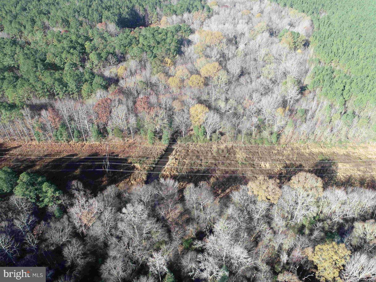 SLAGLES LAKE ROAD (TRACT: CHESAPEAKE GEORGE RAE)