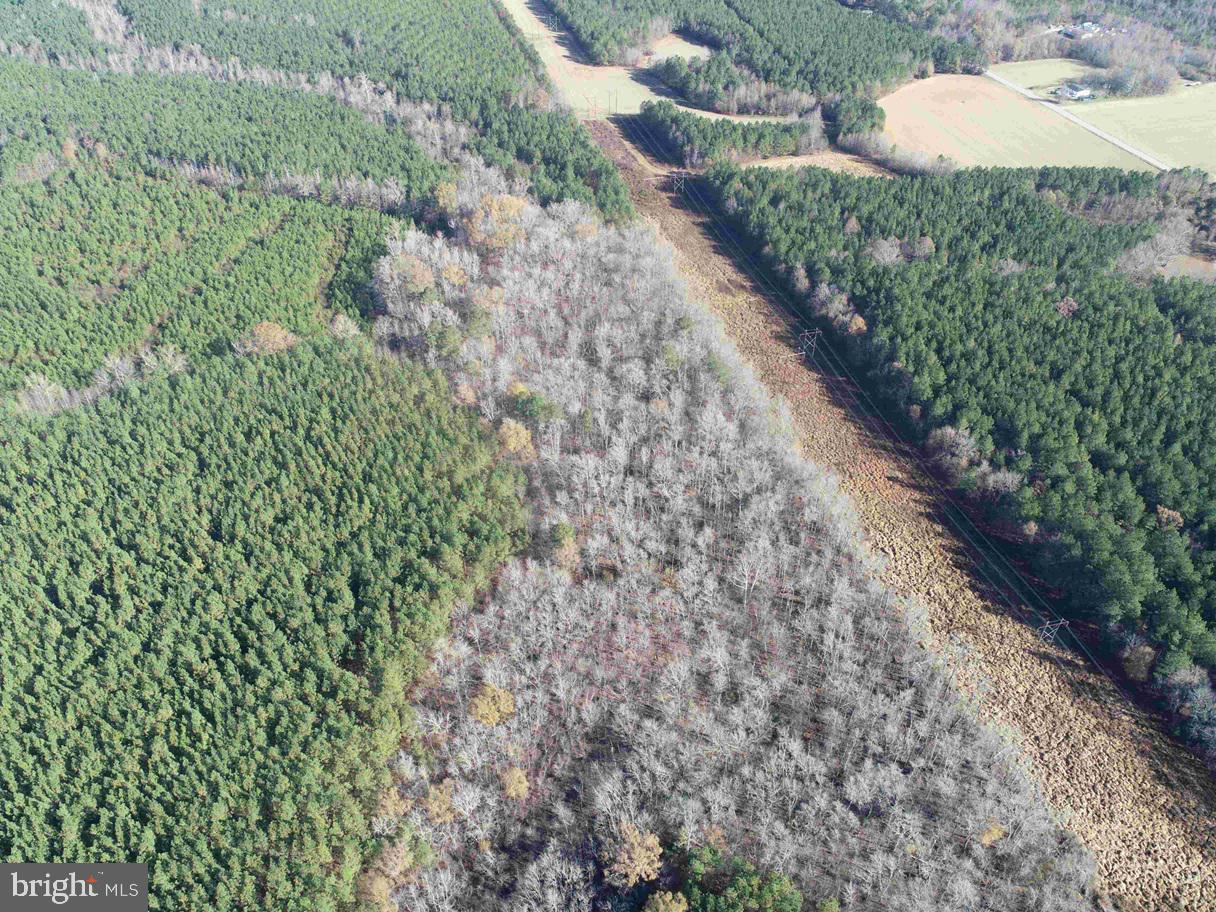 SLAGLES LAKE ROAD (TRACT: CHESAPEAKE GEORGE RAE)