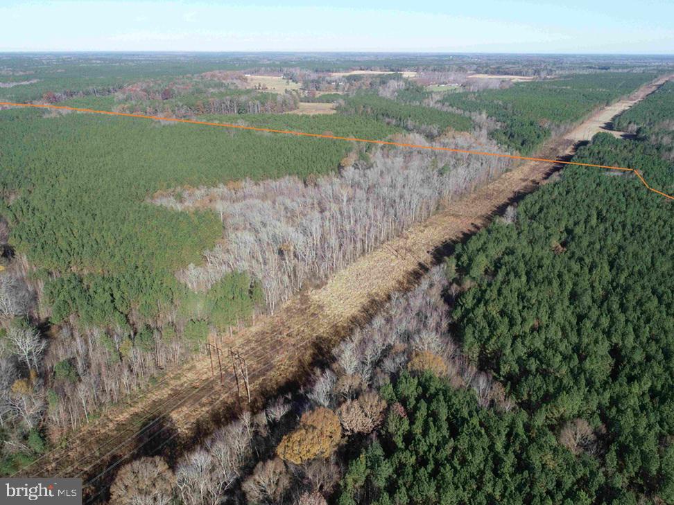 SLAGLES LAKE ROAD (TRACT: CHESAPEAKE GEORGE RAE)