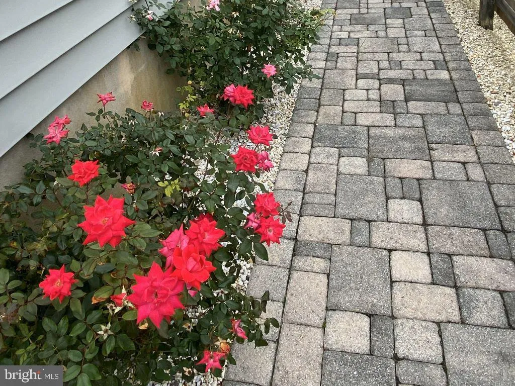 Ship Bottom, New Jersey 08008, United States, 3 Bedrooms Bedrooms, ,2 BathroomsBathrooms,Residential,Active,88296