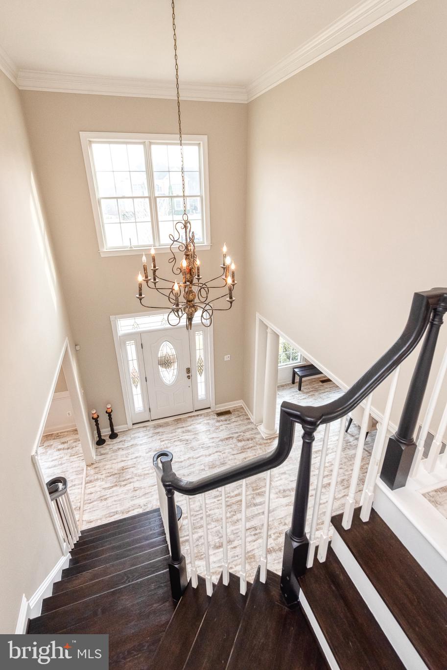 CEDARDAY - Residential