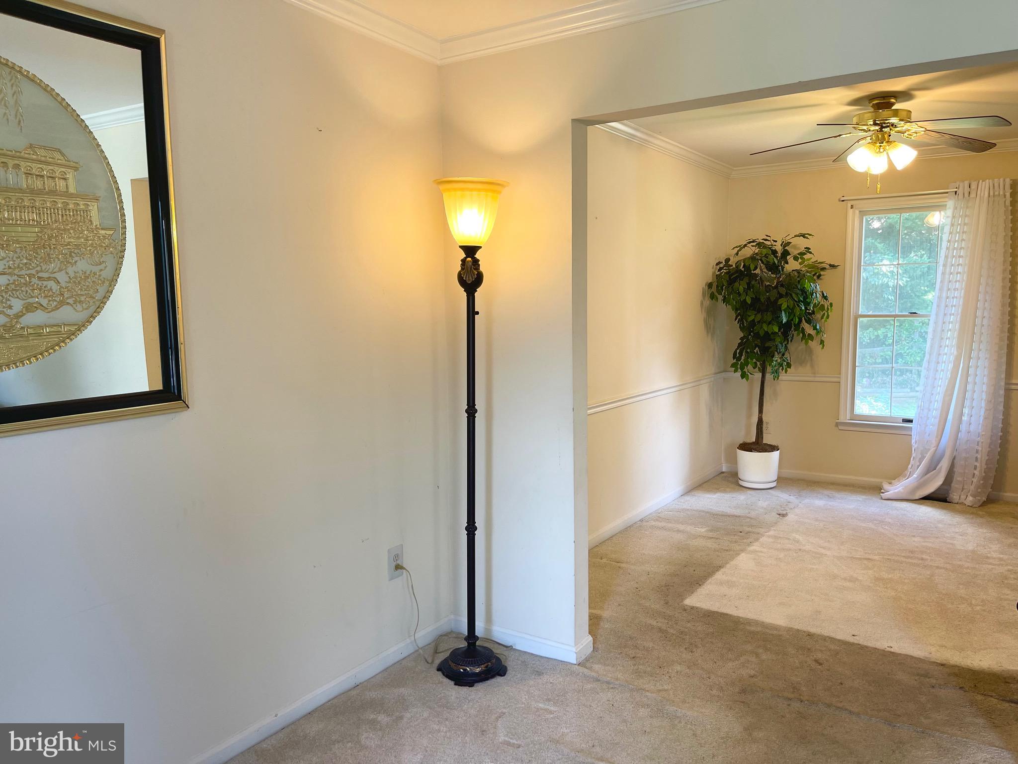 12125 STONEY BOTTOM ROAD